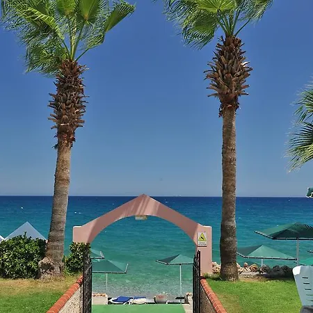 Seagull 贝尔迪比