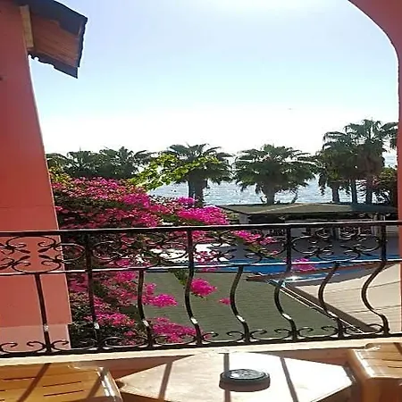 Seagull Отель 4*