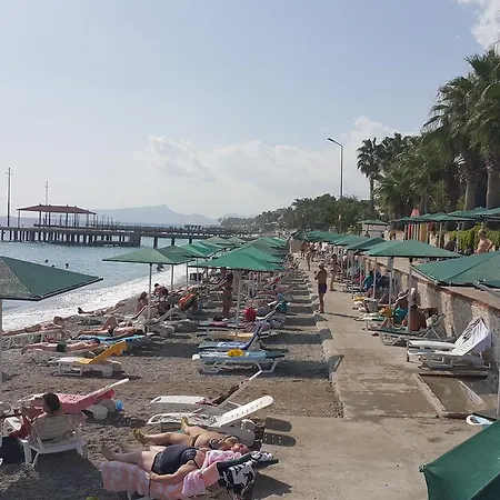Seagull Hotel