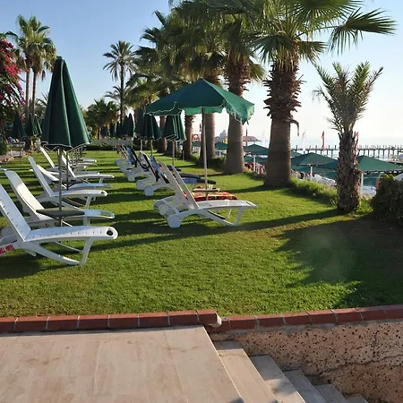 Seagull Hotel 4*