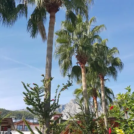 Seagull Beldibi (Kemer)