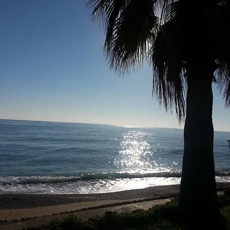 Seagull 4*
