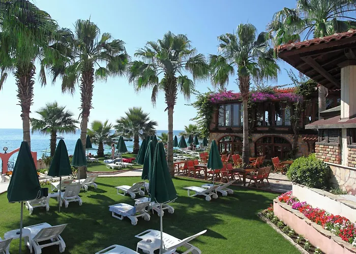 Hotel Seagull 4*