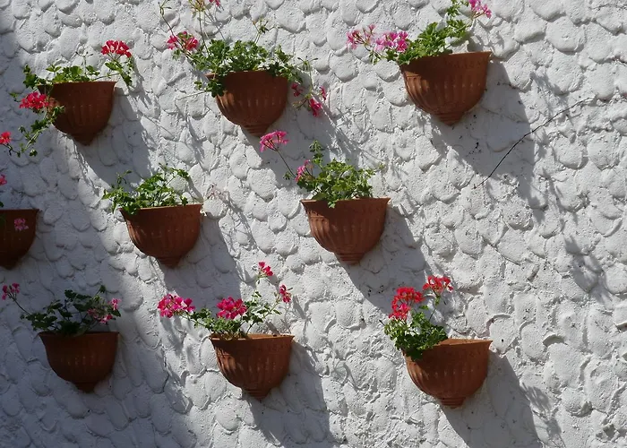 Hotel Seagull Beldibi (Kemer)