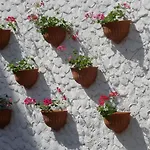 Otel Seagull Beldibi (Kemer)