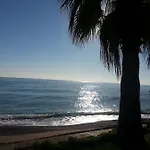 Seagull 4*